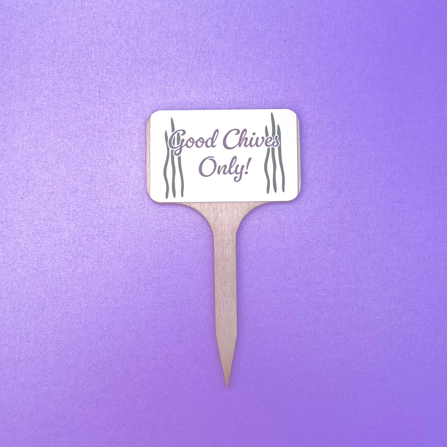 Punny Plant Signs
