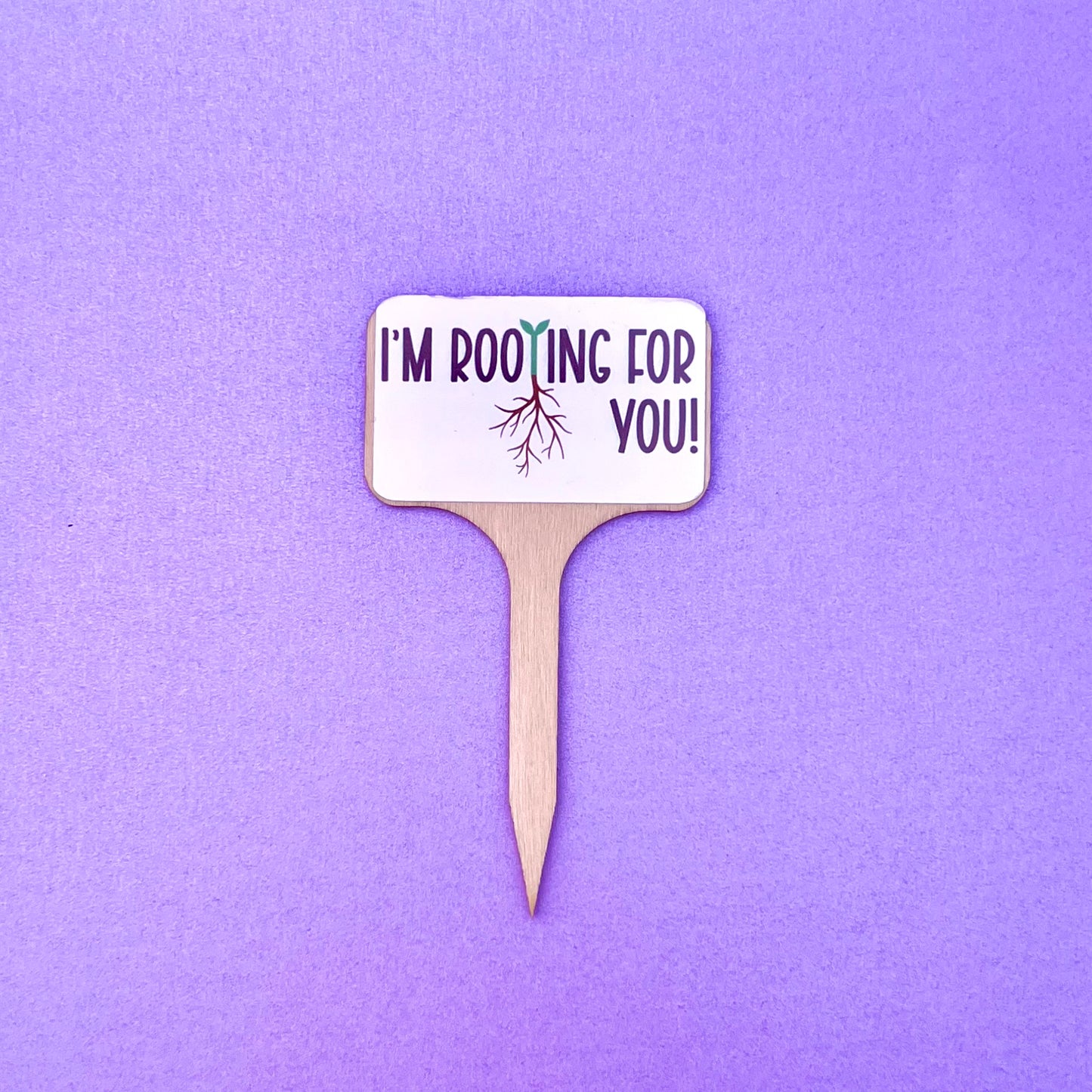 Punny Plant Signs