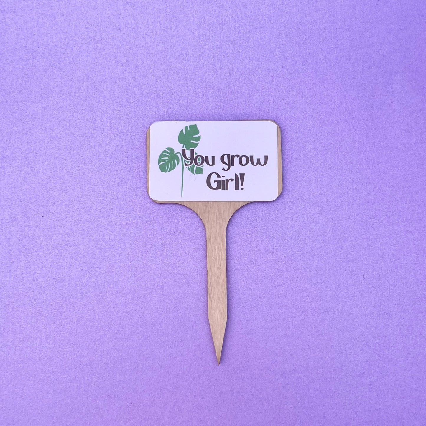 Punny Plant Signs