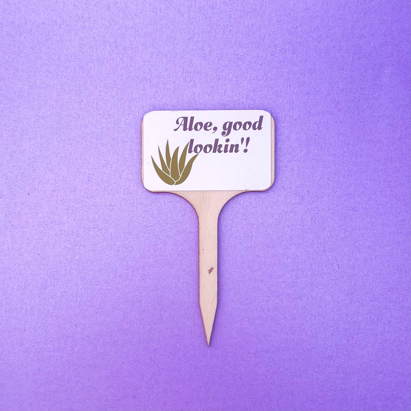 Punny Plant Signs
